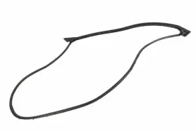 Gm 86574334 Genuine F S Weatherstrip
