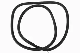 94550169 Gm Genuine Rear Passenger Side Door Weatherstrip 94550169 Gm Genuine Rear Passenger Side Door Weatherstrip