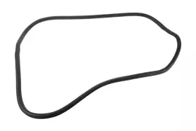 94550170 Gm Genuine Rear Side Door Weatherstrip