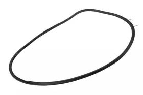 94550171 Gm Genuine Rear Side Door Weatherstrip