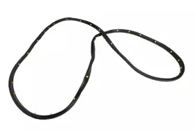 95021341 Gm Genuine Passenger Side Front Door Weatherstrip