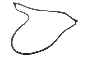 95158822 Gm Genuine Driver Side Front Door Weatherstrip 95158822 Gm Genuine Driver Side Front Door Weatherstrip