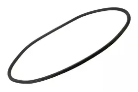 95190189 Gm Genuine Passenger Side Rear Door Weatherstrip