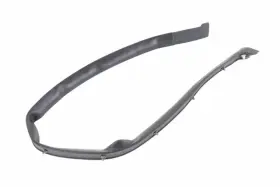 85646741 Gm Genuine Parts Weatherstrip