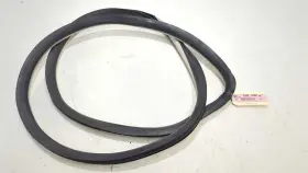 25820231 Gmc New Oem Genuine Gm Rear Door Body Seal 2008-2013 Cadillac Cts Titanium