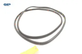 84228137 Gmc Acadia Rear Right Passenger Side Door Weatherstrip Seal Oem 2017 - 2023 #3