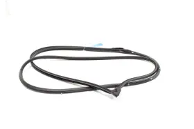 72310tvaa01 Honda Accord Front Right Passenger Side Door Weatherstrip Seal Oem 2018 - 2022 #3