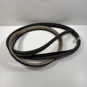 72315-shj-a21zd Honda 05-06 Odyssey Right Front Door Seal On Body Beige Oem