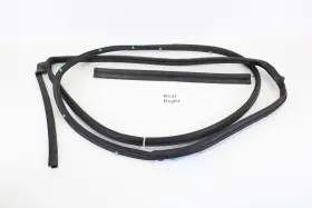 72810-tea-t01 Honda 2018-2020 Civic Tour Rear Right Door On Body Weatherstrip Seal Oem #2