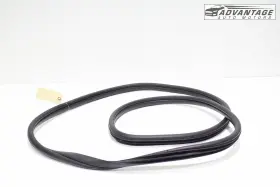 Hyundai 82110-gi000 2022-2024 Ioniq 5 Ne Front Left Side Doorway Weatherstrip Seal Oem
