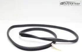 Hyundai 82120-gi000 2022-2024 Ioniq 5 Ne Front Right Side Doorway Weatherstrip Seal Oem