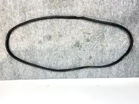 82130-j9000 Hyundai 18-23 Kona Front Left Driver Lh Side Door Weatherstrip Rubber Seal Oem