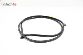 82130k5000 Hyundai 2022 - 2023 Santa Cruz Front Left Driver Side Door Weatherstrip Seal Oem 82130k5000 Hyundai 2022 - 2023 Santa Cruz Front Left Driver Side Door Weatherstrip Seal Oem