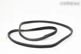 83120-s2000 Hyundai 2019-2023 Santa Fe Rear Right Side Doorway Weatherstrip Seal Oem