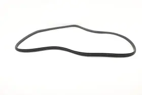 83130gi000 Hyundai 2022 - 2024 Ioniq 5 Rear Left Side Door Seal Weather Stripping Oem 83130gi000 Hyundai 2022 - 2024 Ioniq 5 Rear Left Side Door Seal Weather Stripping Oem