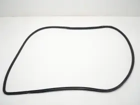 120-10046 Infiniti 2017-2021 Q60 Coupe Left Lh Driver Door Welt Seal Weather-strip Oem