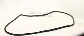 199.in1v19 Infiniti 17-22 Q60 Front Right Passenger Side Door Weatherstrip Seal On Body Oem