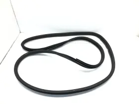 5438-p42qr Infiniti 2022-2024 Qx60 Left Driver Rear Door Weatherstrip Seal Oem #3
