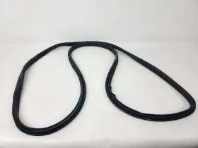 80830-3ja0c Infiniti 13-20 Jx35 Qx60 Front Right Rh Pass Side Door Weatherstrip Seal Oem