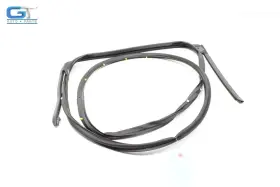 828315na0a Infiniti Qx50 Rear Left Driver Side Door Weatherstrip Seal Oem 2019 - 2022
