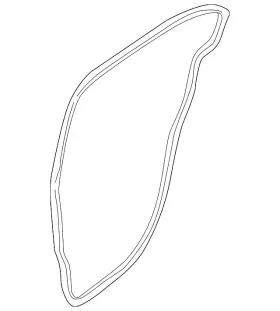 C2s50583 Jaguar Genuine Door Weather-strip