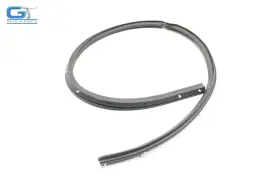Ex5320531a Jaguar F-type Right Passenger Side Door Weatherstrip Seal Oem 2014 - 2021 #3