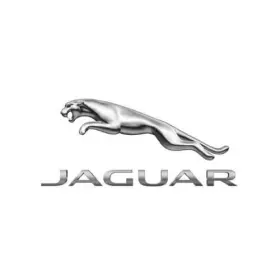 T2r75852 Jaguar Genuine Door Seal