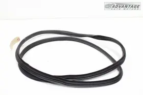 82110-s9000 Kia 2020-2024 Telluride Front Left Side Body Doorway Weatherstrip Seal Oem #2
