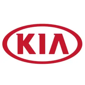 82130-p1500 Kia Genuine W Strip Assembly Front Dr S