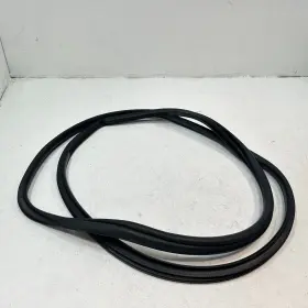 62331-78010 Lexus 2015-21 Nx300 Nx200t Rear Passenger Side Door Body Weatherstip Inner Seal #3