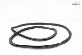 Fa1z58253a10a Lincoln 2019-2023 Nautilus Rear Right Side Doorway Weatherstrip Seal Oem
