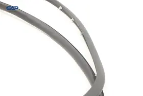 Gd9bf25325a Lincoln Continental Rear Left Driver Side Door Weatherstrip Seal Oem 2017 - 2020 #2