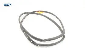 Gd9bf25325a Lincoln Continental Rear Left Driver Side Door Weatherstrip Seal Oem 2017 - 2020