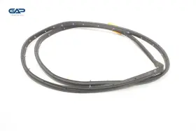 Gd9z5420531a Lincoln Continental Front Left Driver Side Door Weatherstrip Seal Oem 2017-2020 #3