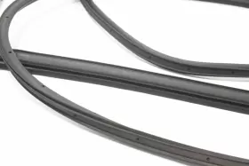 Jl1b4025325ag Lincoln Navigator Rear Left Driver Side Door Weatherstrip Seal Oem 2018 - 2024 #2