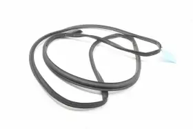 Jl1b7820531af Lincoln Navigator Front Left Driver Side Door Weatherstrip Seal Oem 2018 - 2024 #3