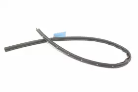 Jl1z4020758a Lincoln Navigator Left Side Door Body Lower Weatherstrip Seal Oem 2018 - 2024 #3
