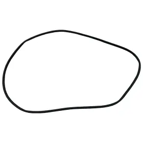 Fo1391164 Lkq Corp Front Passenger Side Door Seal Standard Line