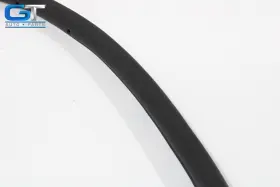 670101774 Maserati Quattroporte Front Right Side Door Lower Weatherstrip Seal Oem 14-21 #3