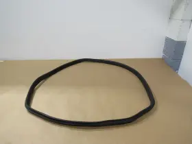 A2906970400 Mercedes-benz 18-21 Gt 63 X290 2019 Rear Right Passenger Body Weather Strip Seal #1