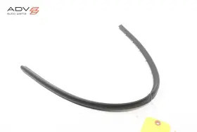 51765a19b09 Mini 2025 Countryman U25 Front Right Side Door Lower Weatherstrip Seal Oem