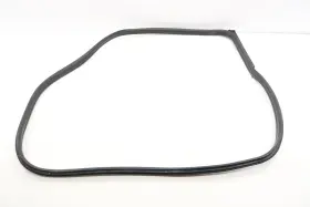51765a4cf94 Mini 2016 - 2024 Cooper F56 Front Right Side Door Seal Weather Stripping Oem