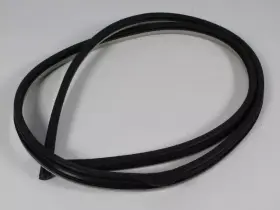 1da08es3ag Mopar Genuine Front Door Opening Weatherstrip #2