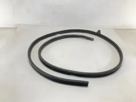 1jg1-2xxx-ag Mopar 15-20 Dodge Grand Caravan Front Left Driver Door Body Seal Weatherstrip Rb #3