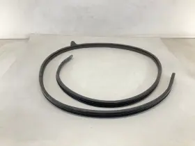 1jg1-2xxx-ag Mopar 15-20 Dodge Grand Caravan Front Left Driver Door Body Seal Weatherstrip Rb