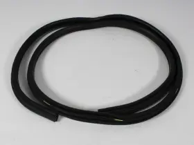55277293aa Mopar Door Seal-st Vin 7 140.5 Inch Wb #2