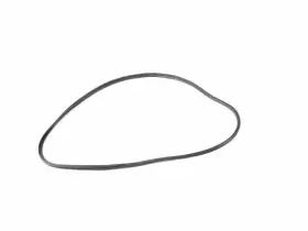 68402034aa Mopar Genuine Rear Door Body Mounted Weatherstrip Left #2