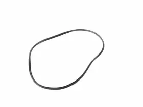 68402034aa Mopar Genuine Rear Door Body Mounted Weatherstrip Left #3