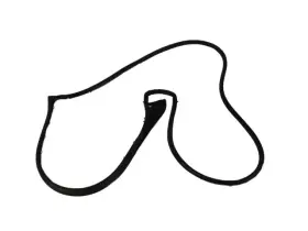 Mopar 68563580ac Genuine Front Door Mounted Weatherstrip Right