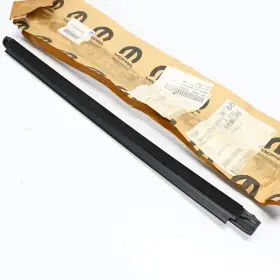 55359445ad Mopar/chrysler Genuine Oem 2006-2011 Dakota/ram Dakota Seal Rear Door Driver